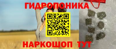 spice Севастополь