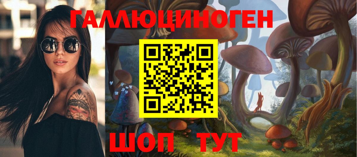 Сарапул  Галлюциногенные грибы Cubensis  Вход с VPN 