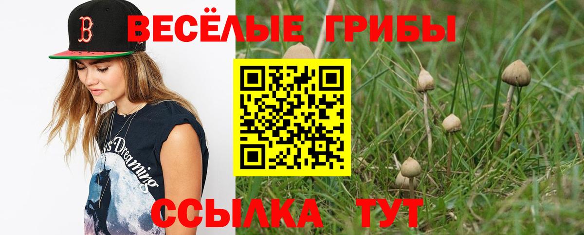 Галлюциногенные грибы Psilocybe Сарапул
